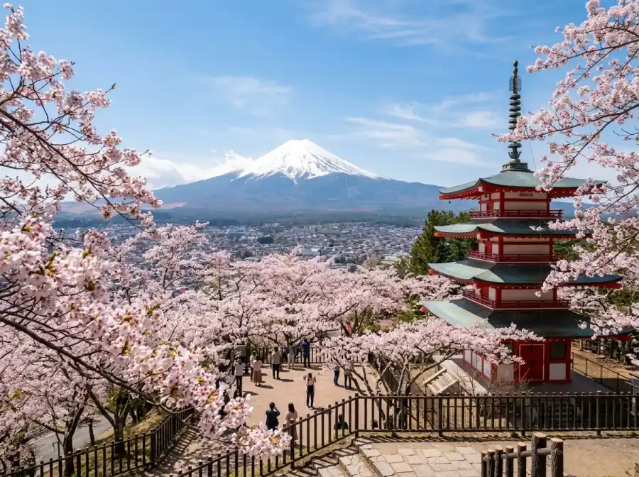 STEM Tour to Japan